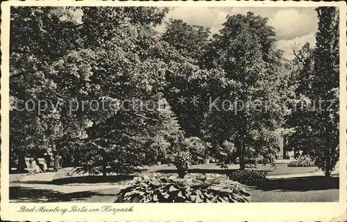 Bad Meinberg Partie Kurpark Kat. Horn Bad Meinberg