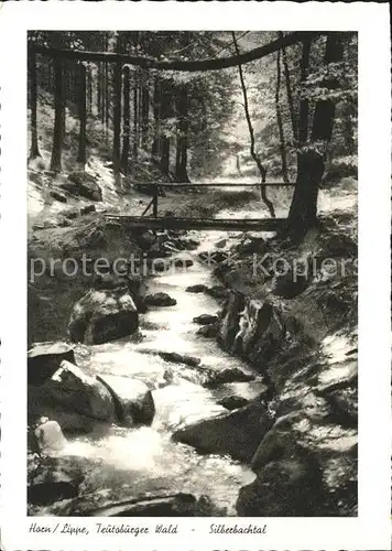 Horn Lippe Teutoburger Wald Silberbachtal Kat. Horn Bad Meinberg