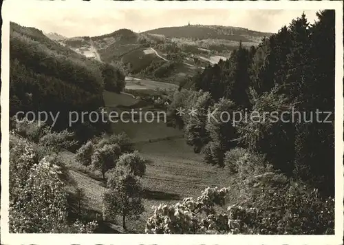 Bad Meinberg Lippiche Schweiz Hangstein Kat. Horn Bad Meinberg