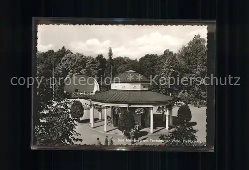 Bad Meinberg Kurpark Teutoburger Wald Kat. Horn Bad Meinberg