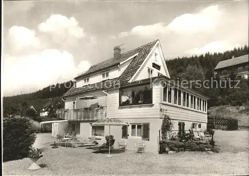 Wildemann Villa Schoeber Kat. Wildemann Harz