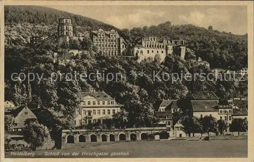 Heidelberg Neckar Hirschgasse Schloss / Heidelberg /Heidelberg Stadtkreis