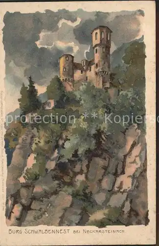 Neckarsteinach Burg Schwalbennest / Neckarsteinach /Bergstrasse LKR