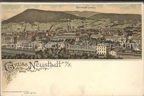 Neustadt Weinstrasse Litho / Neustadt an der Weinstr. /NeuWeinstrasse Stadtkreis