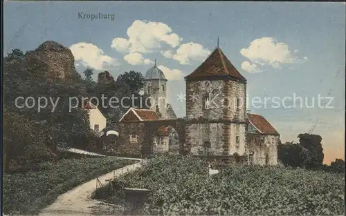 Kropsburg Turm  / Neustadt an der Weinstr. /NeuWeinstrasse Stadtkreis