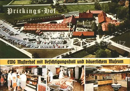 Sythen Fliegeraufnahme Pricking Hof EWG Musterhof mit Besichtigungsstall und baeuerl Museum Kat. Haltern am See