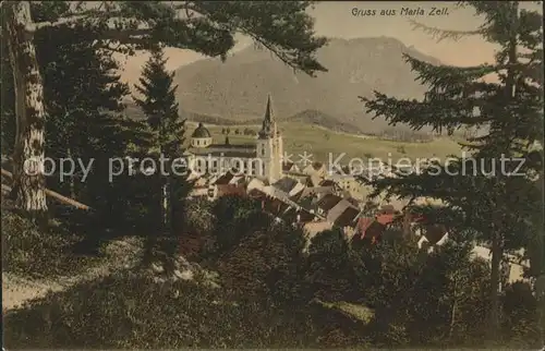 Mariazell Steiermark Durchblick vom Waldrand Basilika Kat. Mariazell