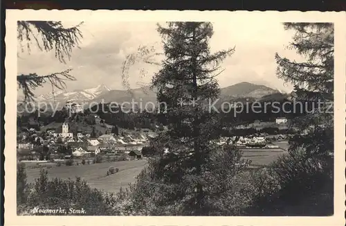 Neumarkt Steiermark Gesamtansicht mit Alpen Kat. Neumarkt in Steiermark