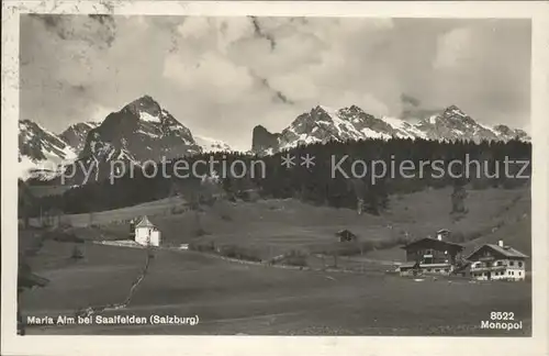 Saalfelden Steinerne Meer Maria Alm Kat. Saalfelden am Steinernen Meer