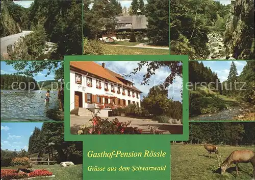 uehlingen-Birkendorf Gasthaus Pension Roessle / uehlingen-Birkendorf /Waldshut LKR