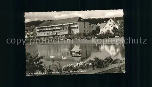 Bad Meinberg Kurparkteich  Kat. Horn Bad Meinberg