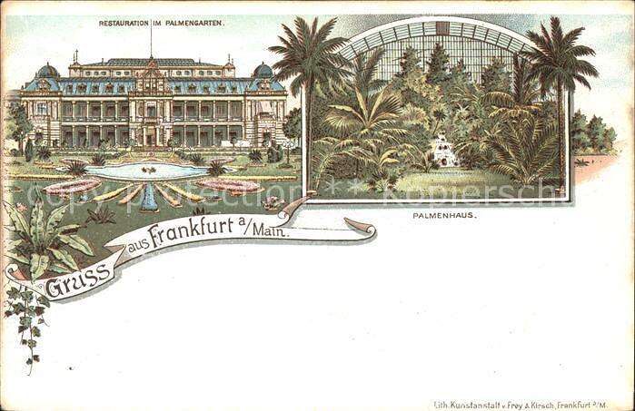 Lithographie Frankfurt Westend Pflanzen Im Palmenhaus Nr 8038346