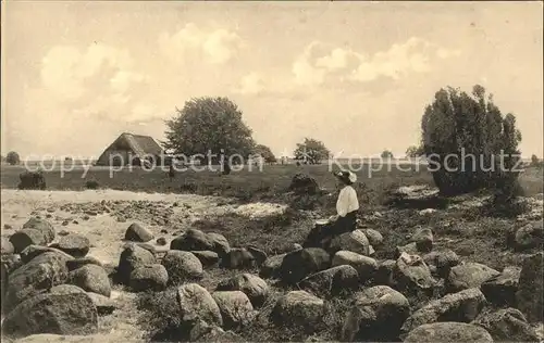 Wilsede Lueneburger Heide Partie beim Totengrund (Naturschutzgebiet) / Bispingen /Soltau-Fallingbostel LKR