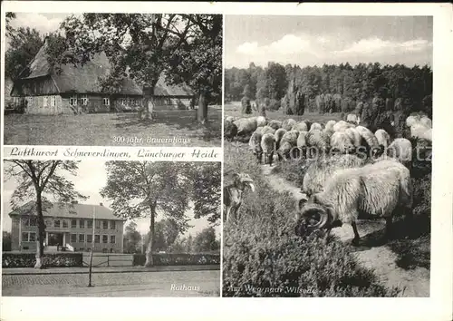 Schneverdingen Rathaus u.Bauernhaus Kat. Schneverdingen