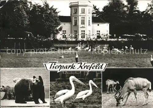 Krefeld Tierpark Kat. Krefeld