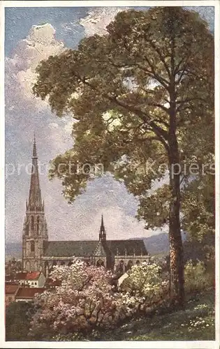 Linz Donau Maria Empfaengnis Dom Baumbluete Kuenstlerkarte Nr. 7007 9 Kat. Linz