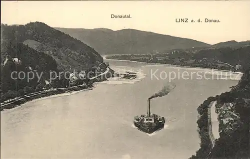 Linz Donau Donautal Dampfer Handkolorierte Kuenstlerkarte Kat. Linz