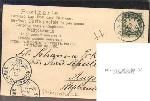 Pferde Augsburg Hunde  / Tiere /