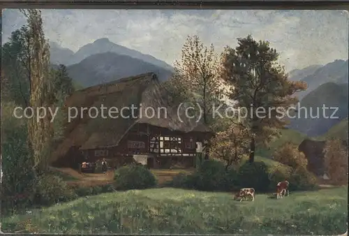 Bauernhof Kuehe Berge Fachwerkhaus / Landwirtschaft /