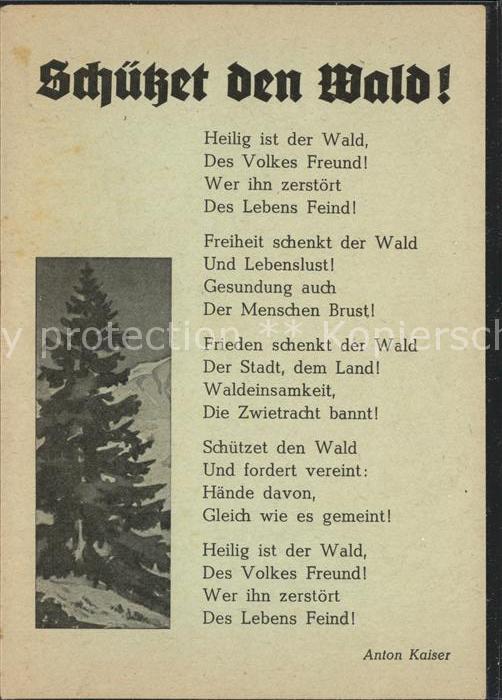 Natur Schuetzt den Wald Gedicht Anton Kaiser / Natur / Nr. hd10448 oldthing Ansichtskarten Natur Schuetzt den Wald Gedicht Anton Kaiser / Natur / Nr. hd10448 oldthing Ansichtskarten