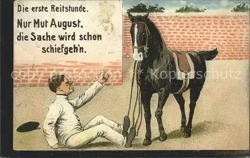 Pferde erste Reitstunde Abwurf / Tiere /