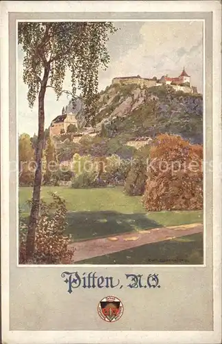 Burgen Pitten N. W. Wappen Kuenstlerkarte / Burgen und Schloesser /