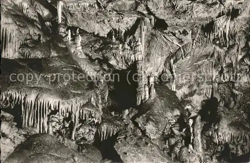 Hoehlen Caves Grottes Neuhaus Pegnitz Maximiliansgrotte Orgelhalle Kat. Berge