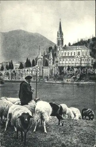 Hirte Schafe Lourdes Basilique Kat. Landwirtschaft