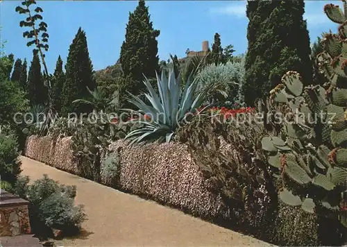 Kakteen Blanes Costa Brava Jardin Botanico Mar i Murtra Kat. Pflanzen