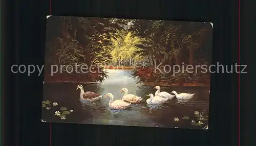 Enten Kuenstlerkarte C. Fiebiger Nr. 490 Kat. Tiere