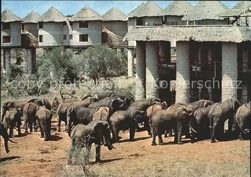 Elefant Underground Rotunda Afrika  Kat. Tiere
