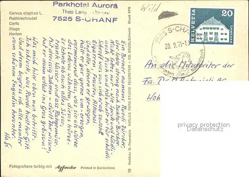 Hirsch Rothirsche cerfs stags  Kat. Tiere