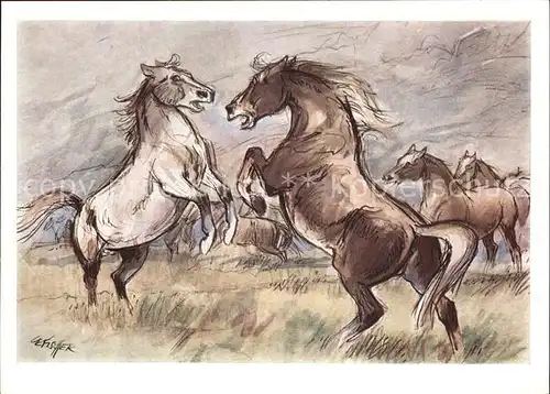 Kuenstlerkarte Cefischer Nr. 2111 Pferde mundgemalt cavalli chevaux Kat. Kuenstlerkarte