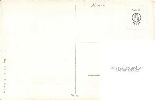 Blumen Kuenstlerkarte N. H. Nendlberger Nr. 134 Kat. Pflanzen