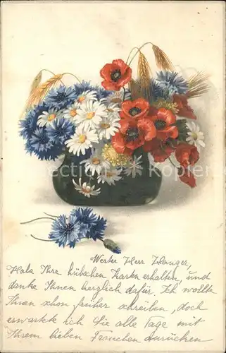 Blumen Margeriten Meissner und Buch Verlag  Kat. Pflanzen