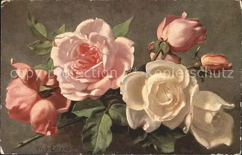 Rosen Kuenstlerkarte Wilh. Eilers Kat. Pflanzen