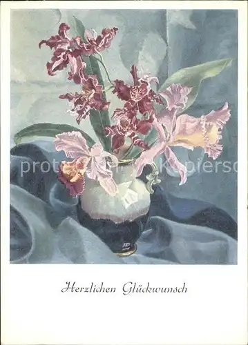 Blumen Orchideen Kuenstlerkarte Ch. Pasche Nr. 824 Kat. Pflanzen