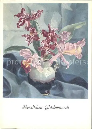 Blumen Orchideen Kuenstlerkarte Ch. Pasche Nr. 824 Kat. Pflanzen