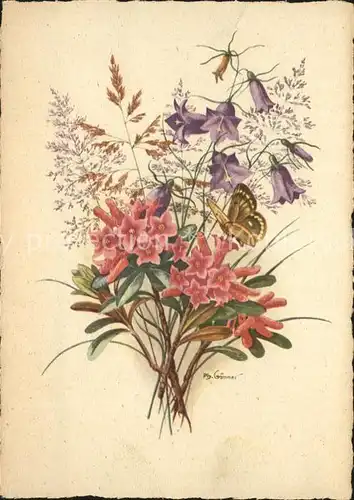 Schmetterlinge Alpen Posthoernchen Alpenblumen Kuenstlerkarte Ph. Goenner Nr. 2047 Kat. Tiere