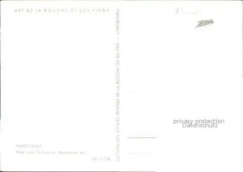 Kuenstlerkarte Madeleine Jars Nr. F1204 Narcisses Narzisse Kat. Kuenstlerkarte