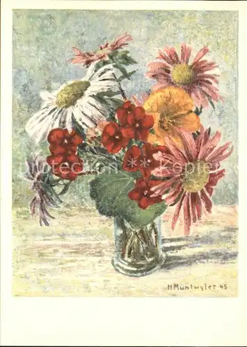 Kuenstlerkarte H. Muntwyler Sommerstrauss Blumen  Kat. Kuenstlerkarte