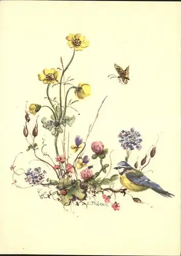 Kuenstlerkarte E. Thoenen Fruehling Schmetterling Vogel Blumen  Kat. Kuenstlerkarte