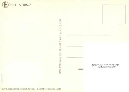 Kuenstlerkarte Hedwig Krebs Blausdisteln Chardons  Kat. Kuenstlerkarte