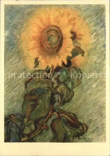 Kuenstlerkarte E. Fryenberg Sonnenblumen  Kat. Kuenstlerkarte