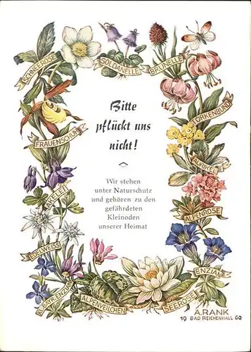 Kuenstlerkarte A. Rank Blumen Naturschutz Aurikel Akelei Soldanelle  Kat. Kuenstlerkarte