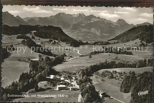 Essbaum Evenhausen Oberbayern Panorama mit Wendelstein Bayerische Voralpen Fliegeraufnahme Kat. Amerang
