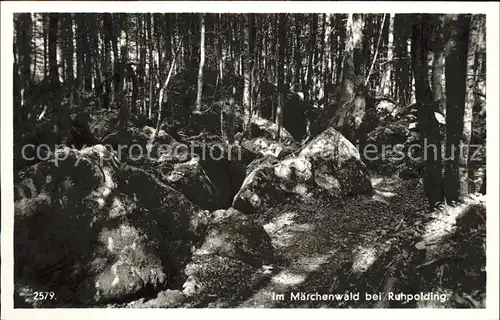 Ruhpolding Partie im Maerchenwald Kat. Ruhpolding