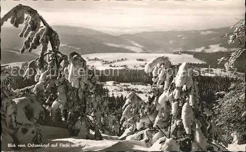 Warmensteinach Ochsenkopf  Kat. Warmensteinach Fichtelgebirge