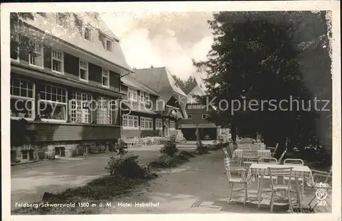 Feldberg Schwarzwald Hotel Hebelhof Kat. Feldberg (Schwarzwald)