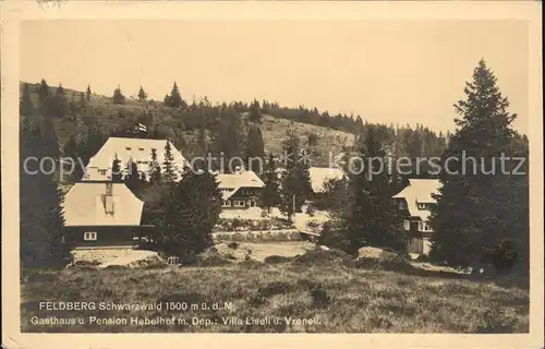 Feldberg Schwarzwald Panorama Kat. Feldberg (Schwarzwald)